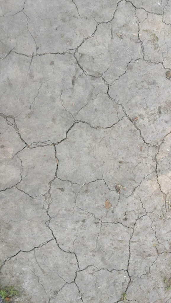 IPL pitch report analysis cricket ground